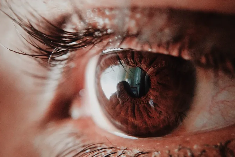 A detailed macro image of a human eye, used to represent the complex internal structures affected by glaucoma.
